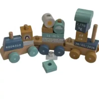 tren-natalicio-2