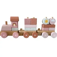 tren-natalicio-3