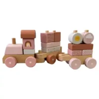 tren-natalicio-4