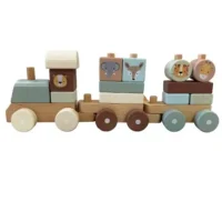 tren-natalicio-6