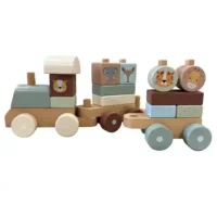 tren-natalicio-7