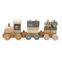 tren-natalicio-9